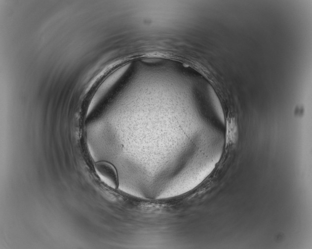 X0000114200291200910231350