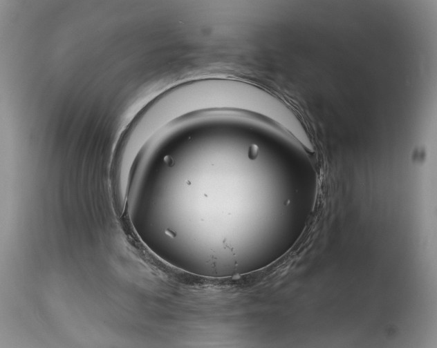 X0000114200292200910231350