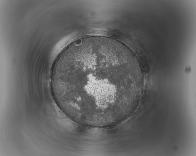 X0000114200293200910231350