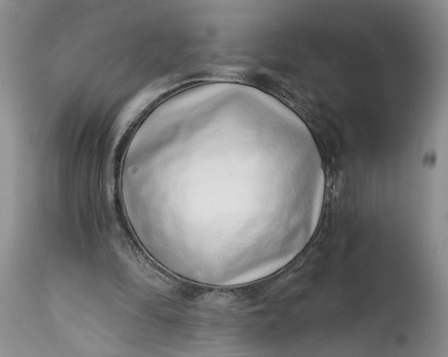 X0000114200294200910231350