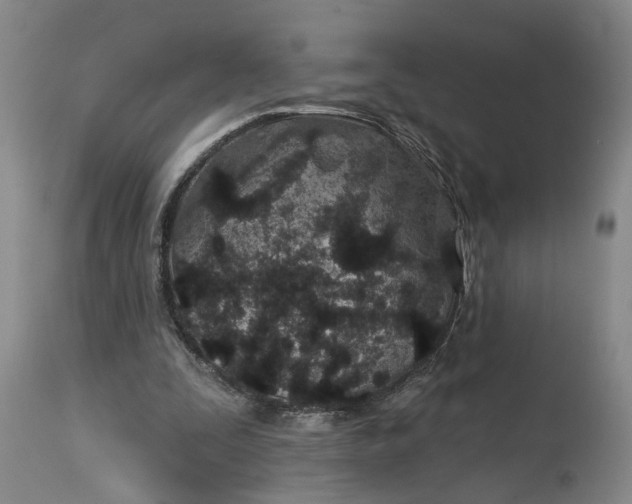 X0000114200295200910231349