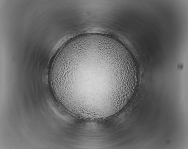 X0000114200298200910231349