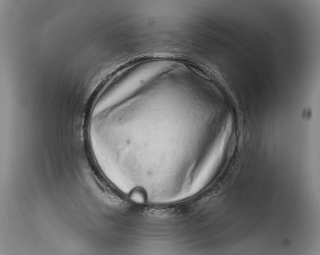 X0000114200299200910231349