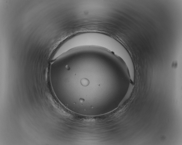 X0000114200301200910231349