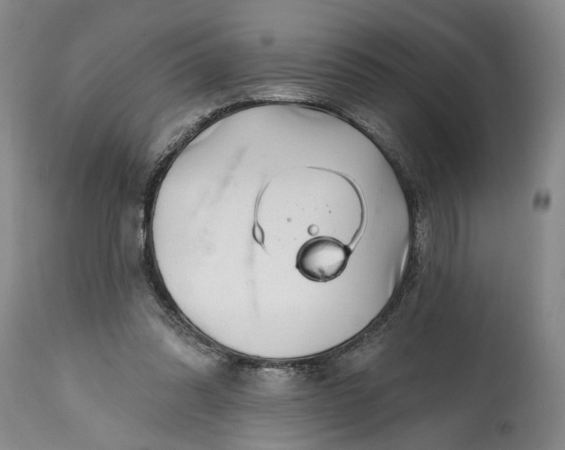 X0000114200302200910231349