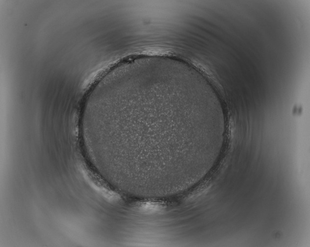 X0000114200303200910231349