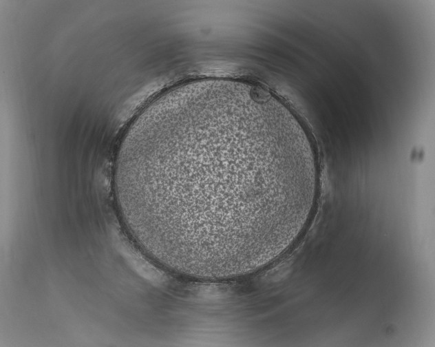 X0000114200305200910231349