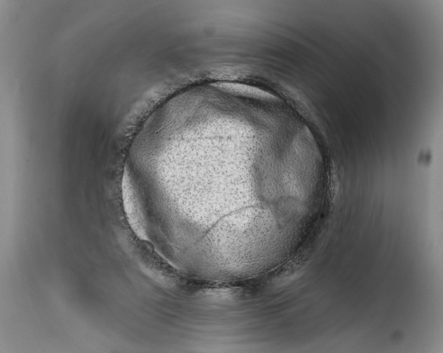 X0000114200307200910231349