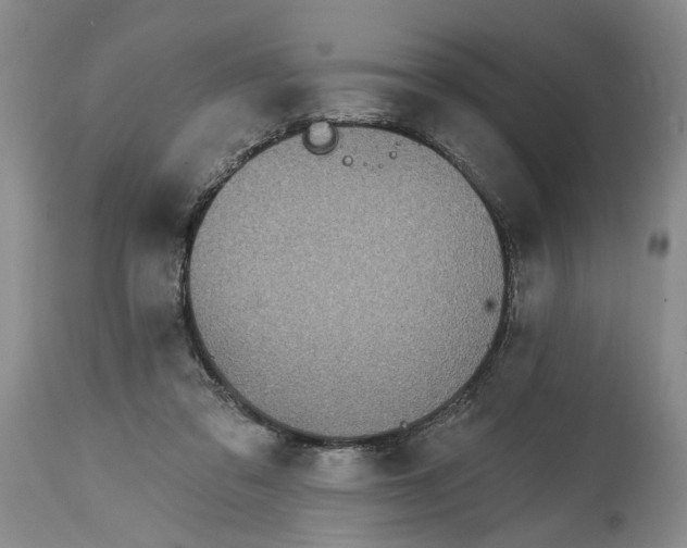 X0000114200309200910231349