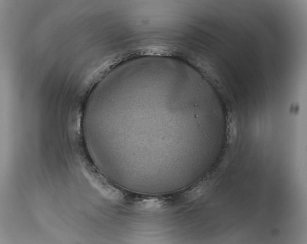 X0000114200310200910231349