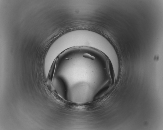 X0000114200313200910231349