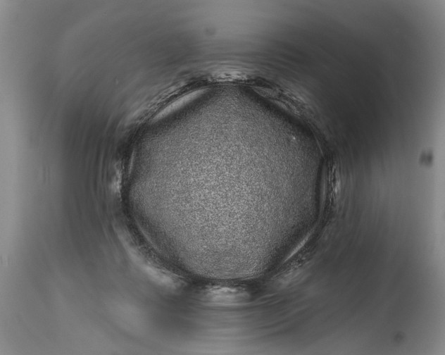 X0000114200315200910231349