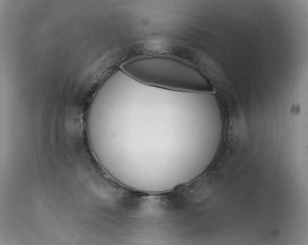 X0000114200320200910231349