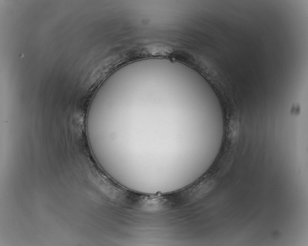 X0000114200321200910231349