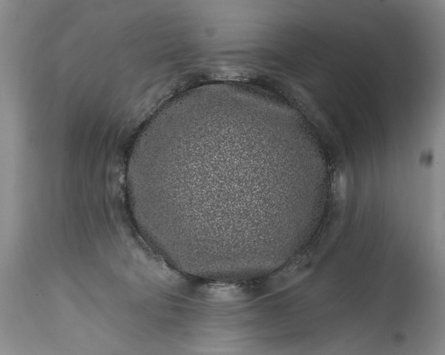 X0000114200322200910231349