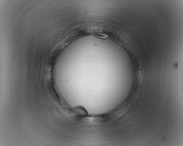 X0000114200323200910231349