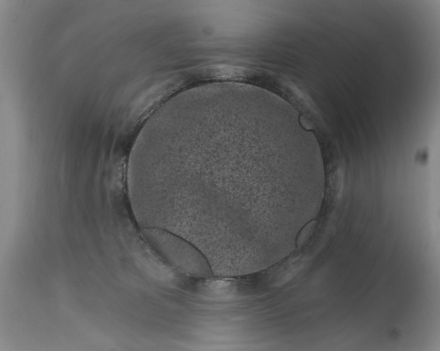 X0000114200325200910231349