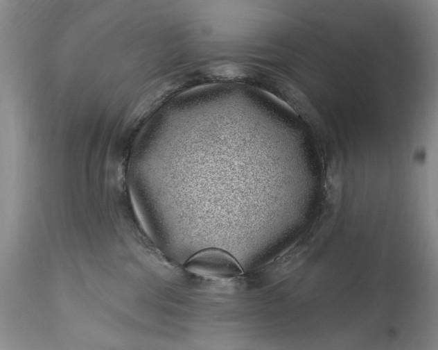 X0000114200330200910231349