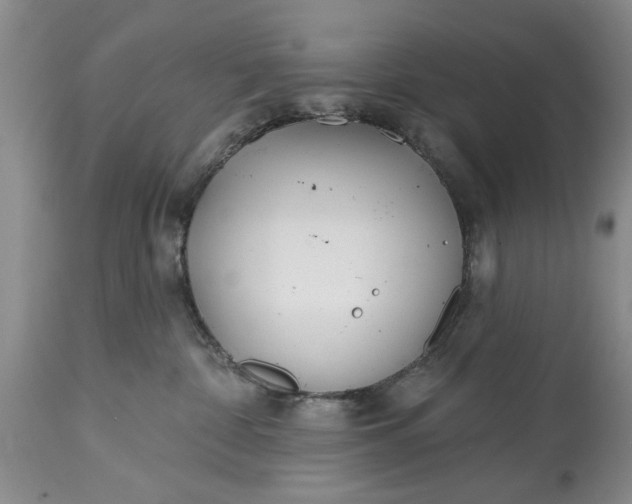 X0000114200332200910231349