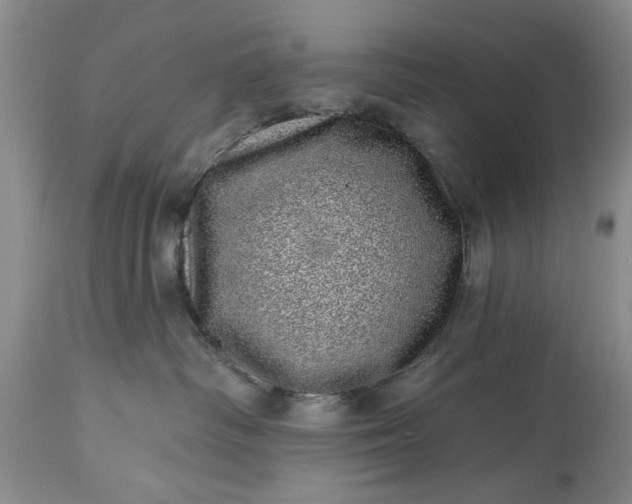 X0000114200334200910231349