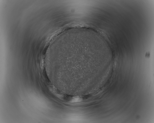 X0000114200335200910231349