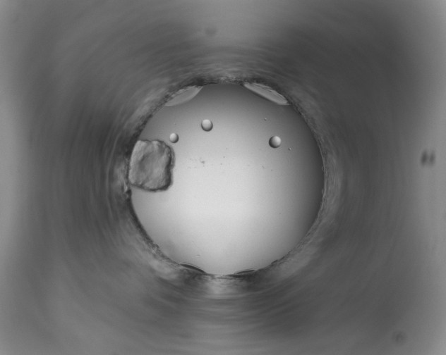 X0000114200336200910231349