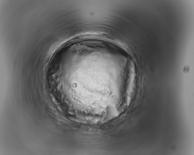 X0000114200337200910231348