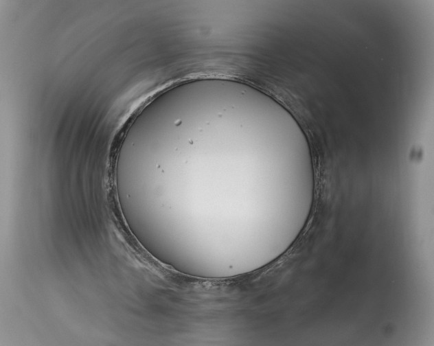 X0000114200338200910231348