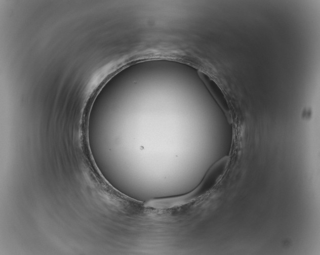 X0000114200340200910231348