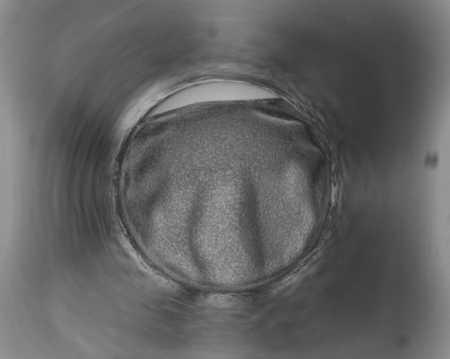 X0000114200341200910231348