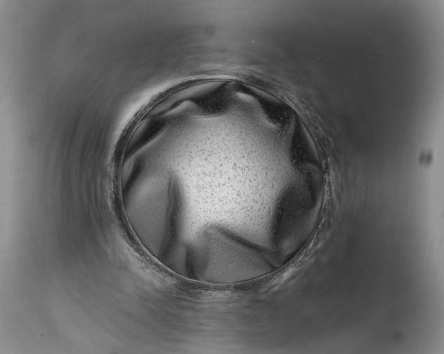 X0000114200342200910231348