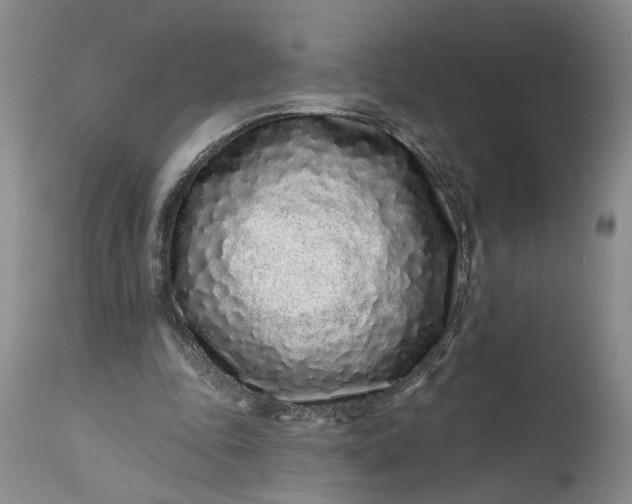 X0000114200343200910231348