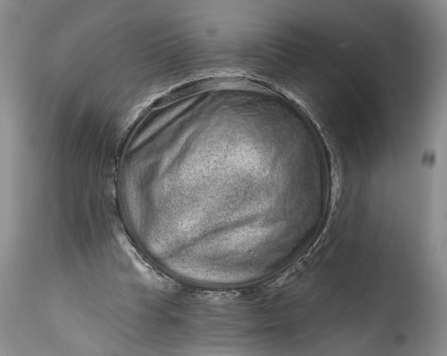 X0000114200345200910231348