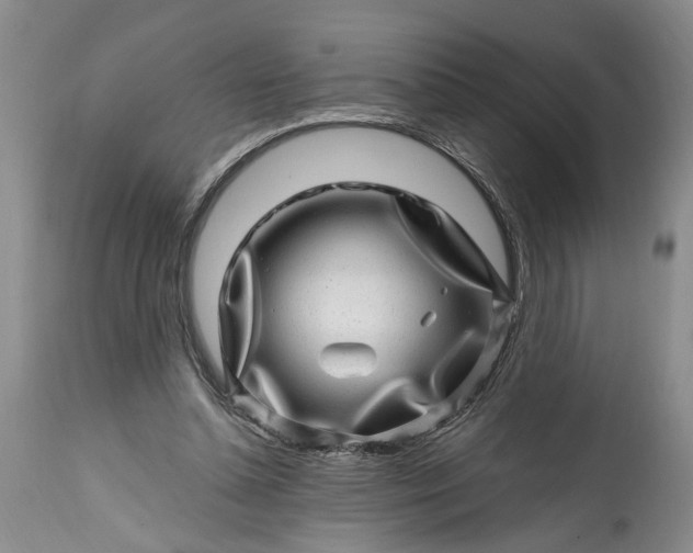 X0000114200348200910231348