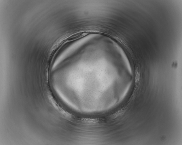 X0000114200349200910231348