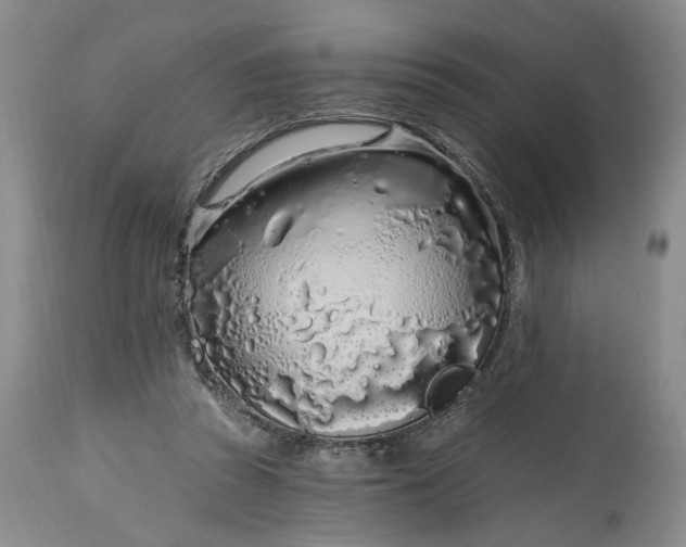 X0000114200353200910231348