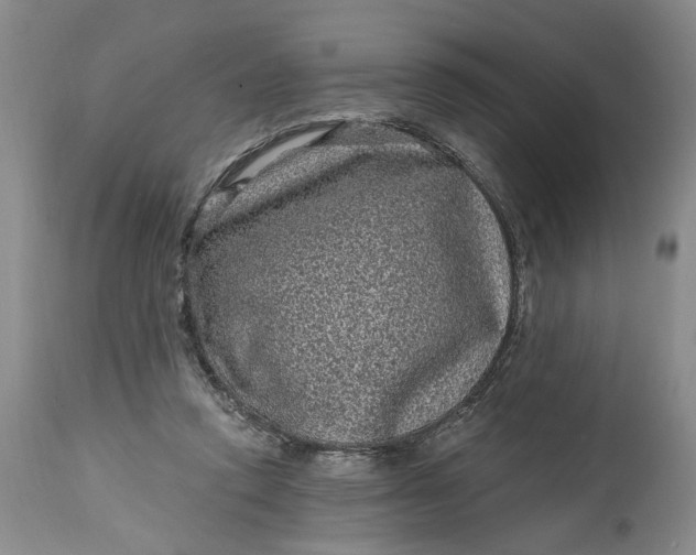 X0000114200354200910231348