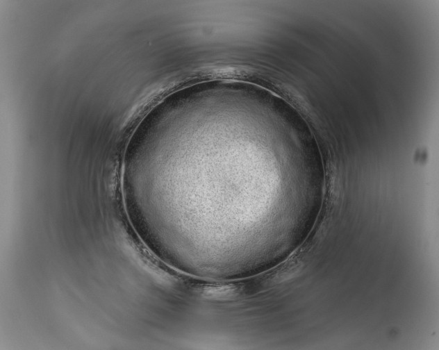 X0000114200357200910231348