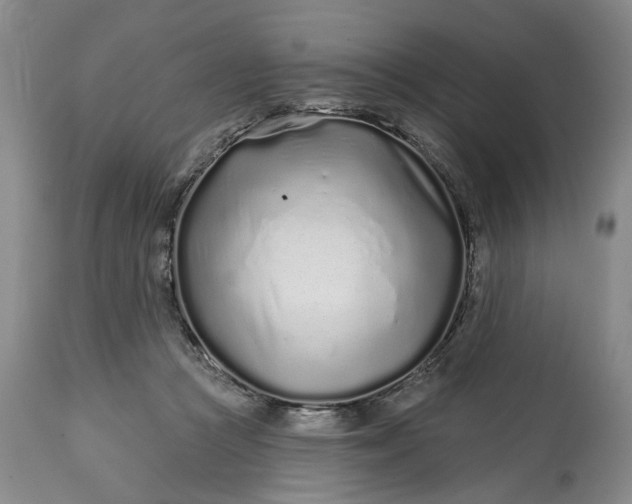 X0000114200361200910231349