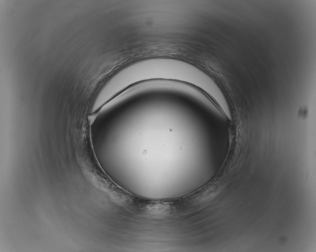 X0000114200362200910231349