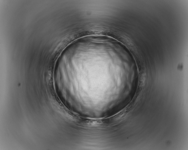 X0000114200365200910231349