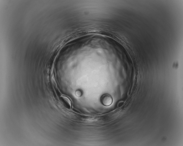 X0000114200366200910231349