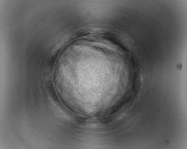 X0000114200367200910231349