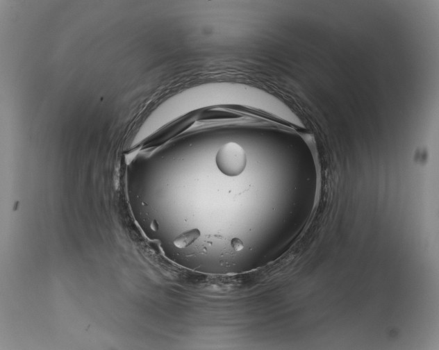 X0000114200368200910231349