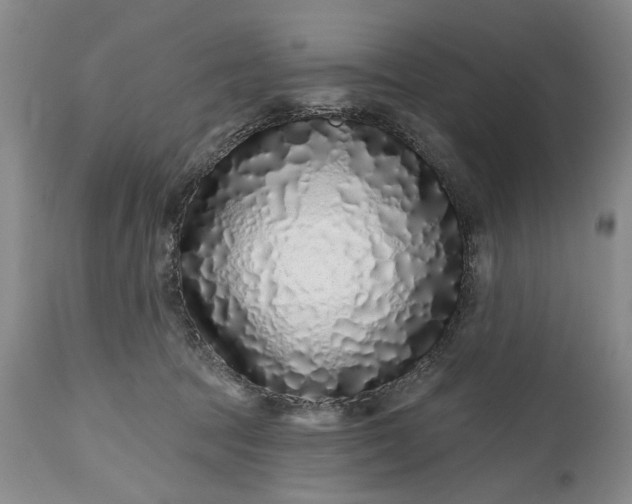 X0000114200369200910231349