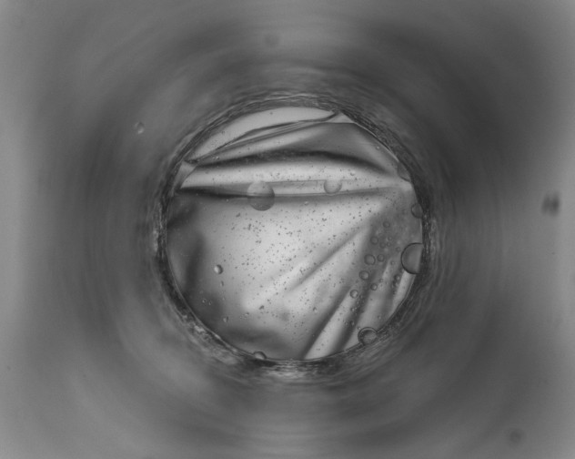 X0000114200370200910231349