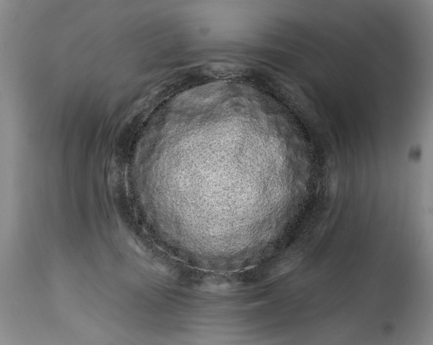 X0000114200371200910231349