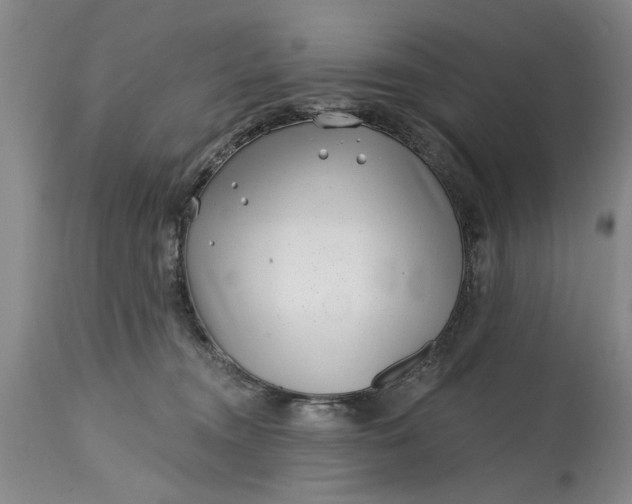 X0000114200372200910231349