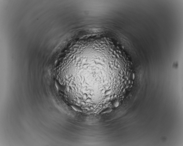 X0000114200373200910231349