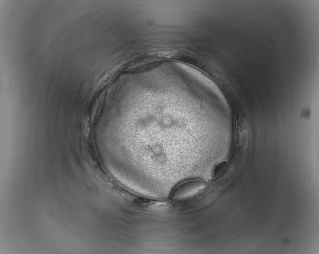 X0000114200374200910231349